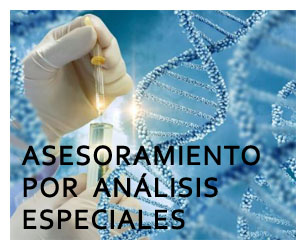 ASESORAMIENTO
